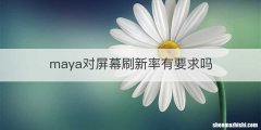 maya对屏幕刷新率有要求吗