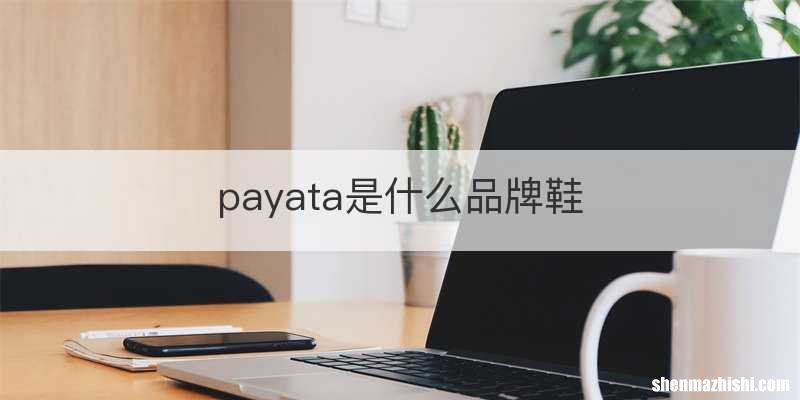 payata是什么品牌鞋