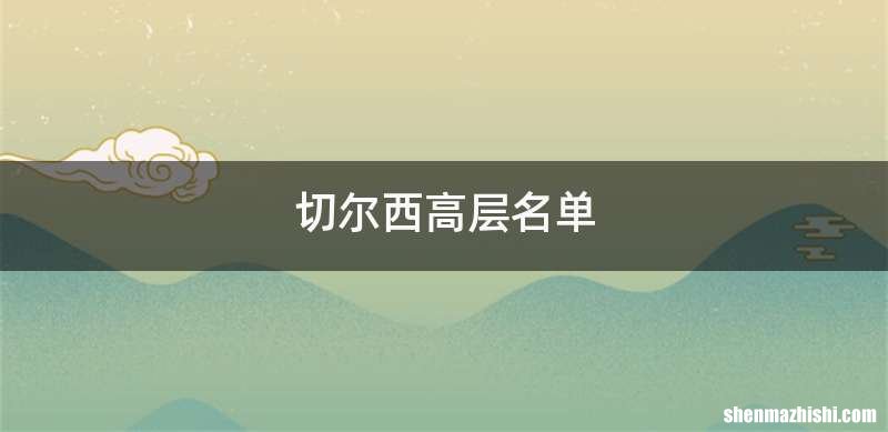 切尔西高层名单