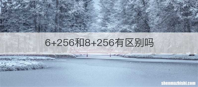 6+256和8+256有区别吗