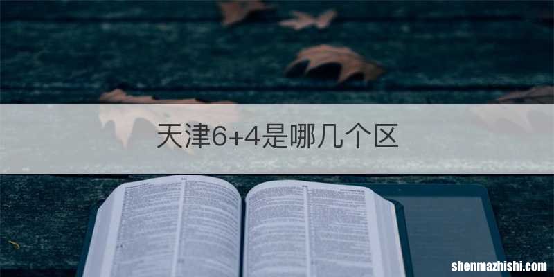 天津6+4是哪几个区