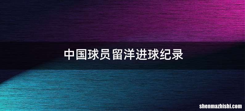 中国球员留洋进球纪录