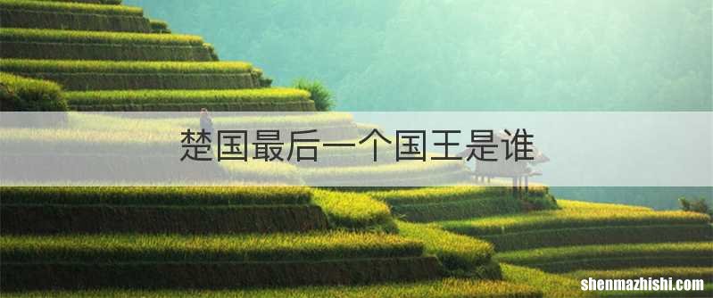 楚国最后一个国王是谁