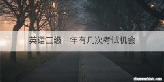 英语三级一年有几次考试机会