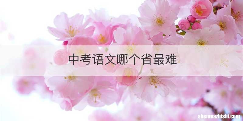 中考语文哪个省最难