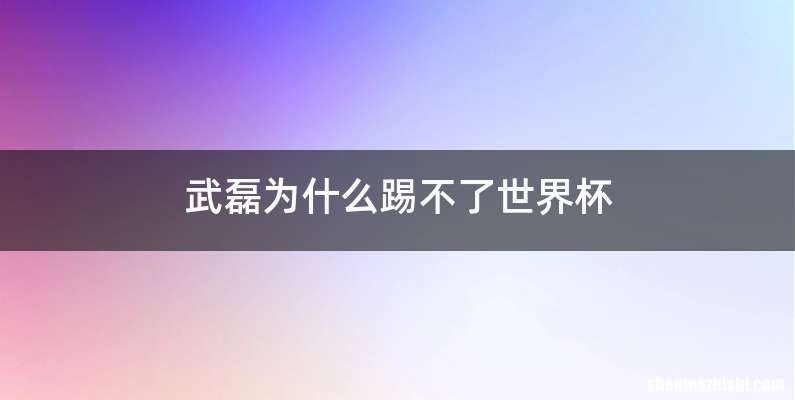 武磊为什么踢不了世界杯
