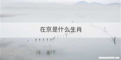 在京是什么生肖