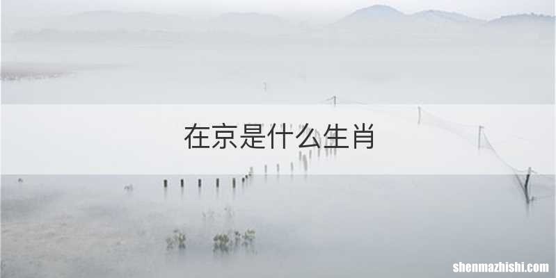 在京是什么生肖