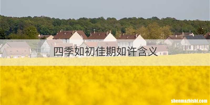 四季如初佳期如许含义
