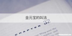 金元宝的叫法