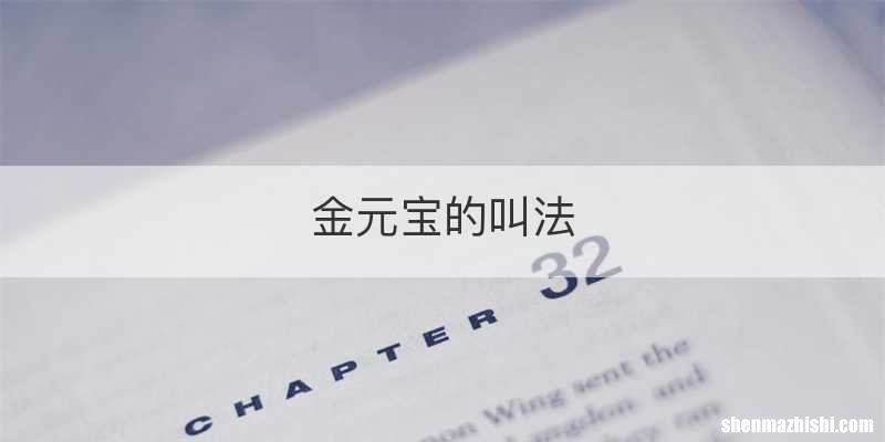 金元宝的叫法