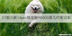 21款小新14pro锐龙版R5800是几代笔记本