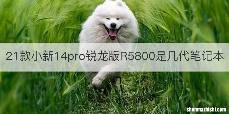 21款小新14pro锐龙版R5800是几代笔记本