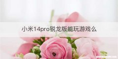 小米14pro锐龙版能玩游戏么