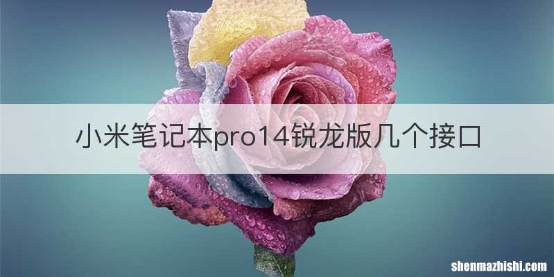 小米笔记本pro14锐龙版几个接口