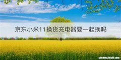 京东小米11换货充电器要一起换吗