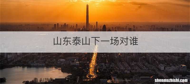 山东泰山下一场对谁