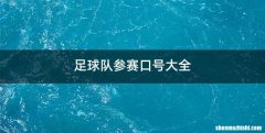 足球队参赛口号大全