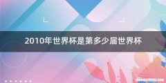 2010年世界杯是第多少届世界杯