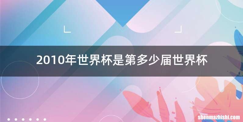 2010年世界杯是第多少届世界杯