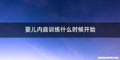 婴儿内庭训练什么时候开始