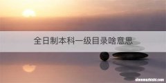 全日制本科一级目录啥意思