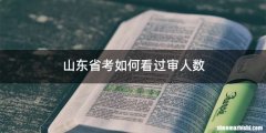 山东省考如何看过审人数