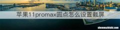 苹果11promax圆点怎么设置截屏