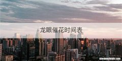 龙眼催花时间表
