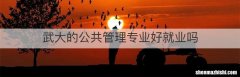 武大的公共管理专业好就业吗