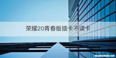 荣耀20青春版插卡不读卡