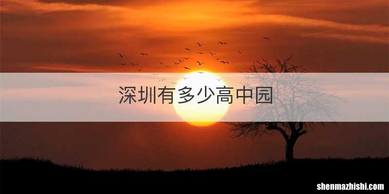 深圳有多少高中园