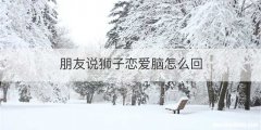 朋友说狮子恋爱脑怎么回