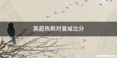 英超热刺对曼城比分