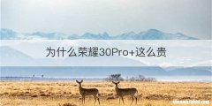 为什么荣耀30Pro+这么贵