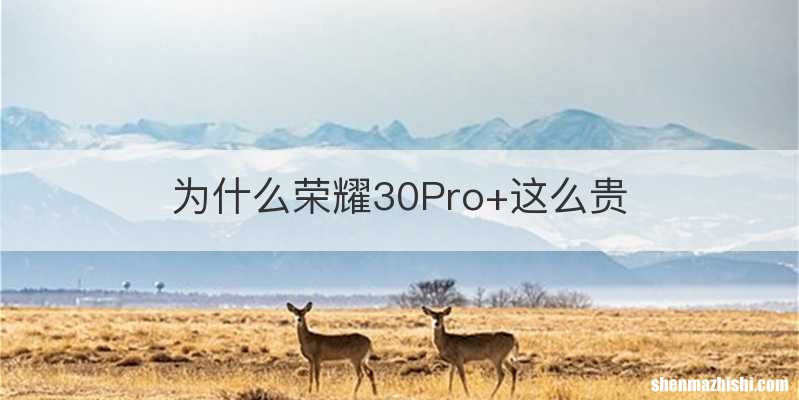 为什么荣耀30Pro+这么贵