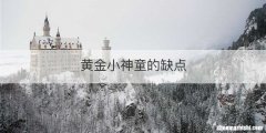 黄金小神童的缺点