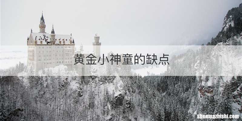 黄金小神童的缺点