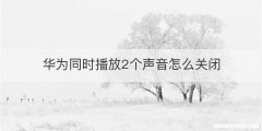 华为同时播放2个声音怎么关闭