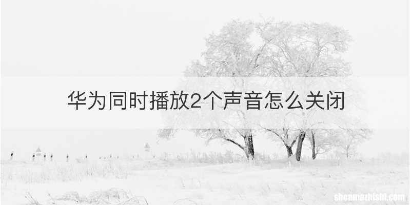 华为同时播放2个声音怎么关闭