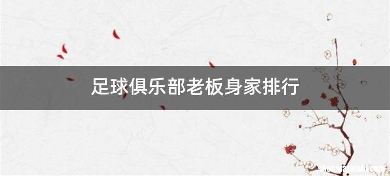 足球俱乐部老板身家排行