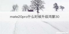 mate20pro什么时候升级鸿蒙30