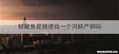 鳑鲏鱼是随便找一个河蚌产卵吗