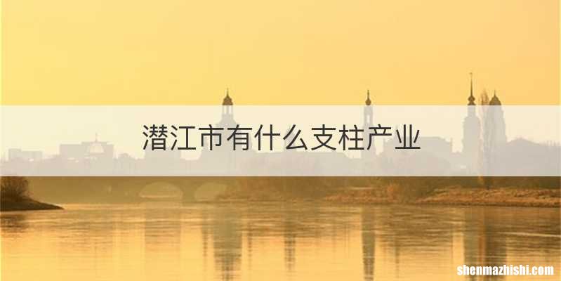潜江市有什么支柱产业