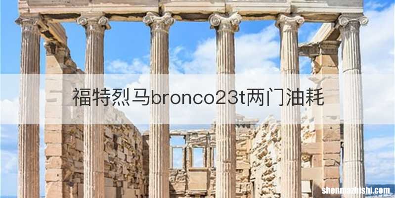 福特烈马bronco23t两门油耗