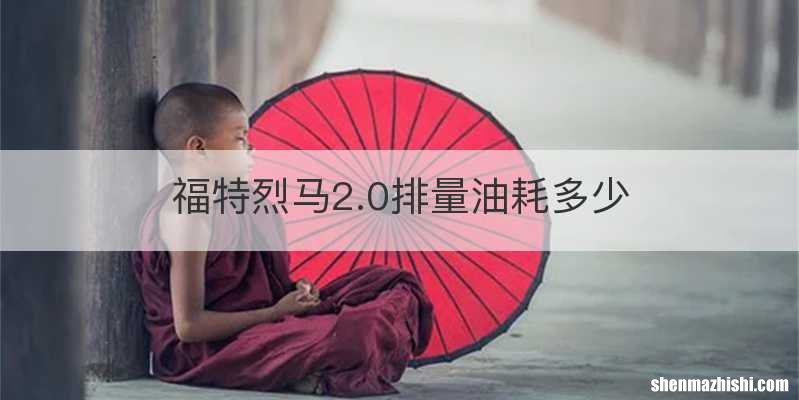 福特烈马2.0排量油耗多少
