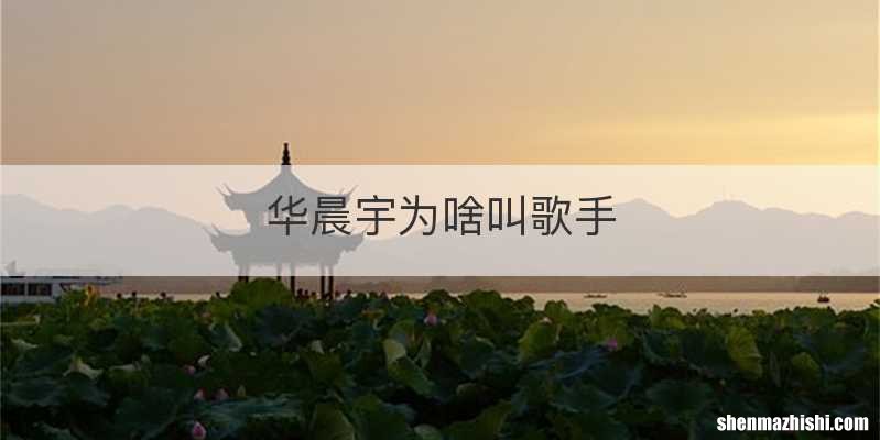 华晨宇为啥叫歌手