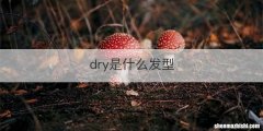 dry是什么发型