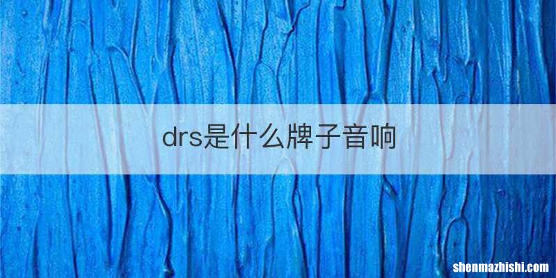 drs是什么牌子音响