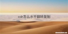cdr怎么水平翻转复制